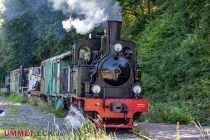 Am 17. Juli fuhr die Dampflok Spreewald zwischen Herscheid und Plettenberg. • © ummeteck.de - Silke Schön